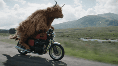 Creative Review | 'Highland Rider'