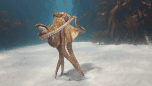 BMW | Octowaltz 'Making Of'